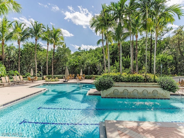 view of swimming pool with a patio area