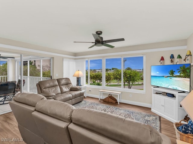 living room featuring ceiling fan, light hardwood / wood-style floors, and plenty of natural light