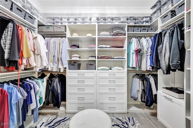 view of spacious closet