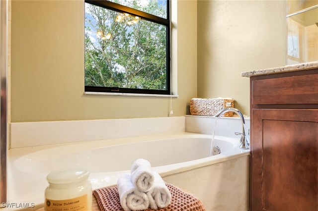 bathroom featuring vanity, a bathtub, and a wealth of natural light