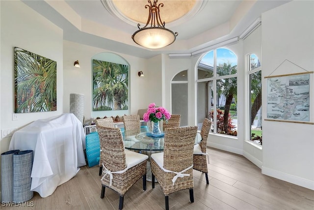 dining area featuring plenty of natural light, light hardwood / wood-style flooring, and a raised ceiling