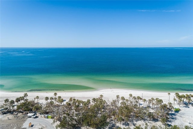 water view featuring a beach view