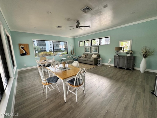 dining area featuring a healthy amount of sunlight, dark hardwood / wood-style floors, ceiling fan, and ornamental molding