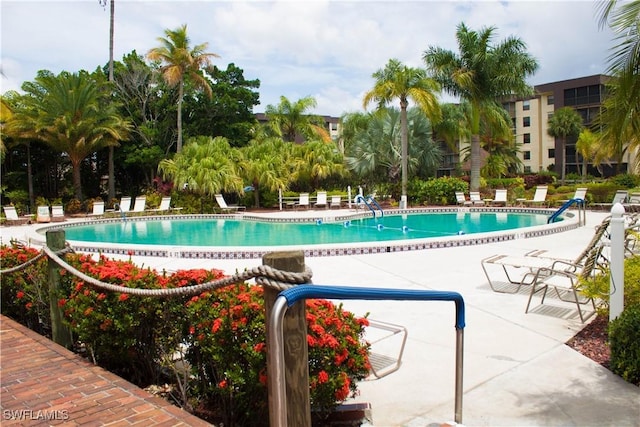 view of pool with a patio area