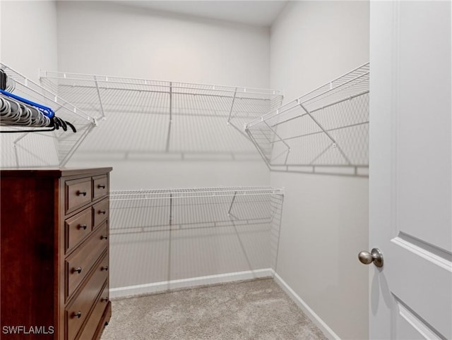 walk in closet with light carpet