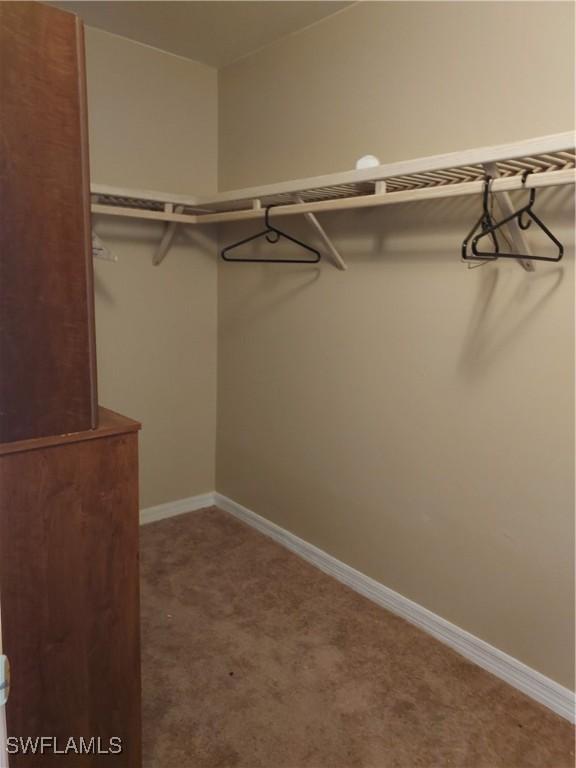 spacious closet featuring carpet