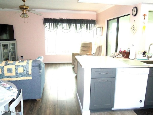 kitchen featuring ceiling fan, gray cabinets, white dishwasher, dark wood-type flooring, and ornamental molding