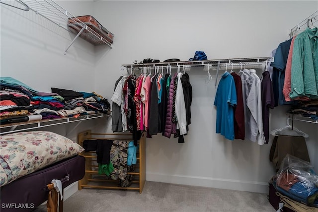 walk in closet with carpet