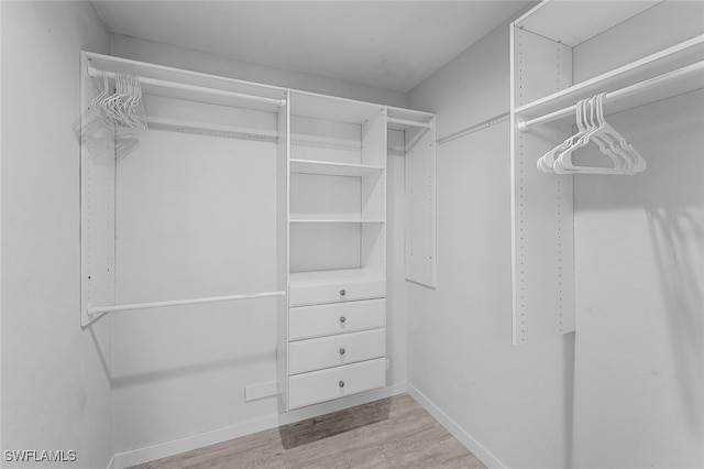 spacious closet with light wood-type flooring