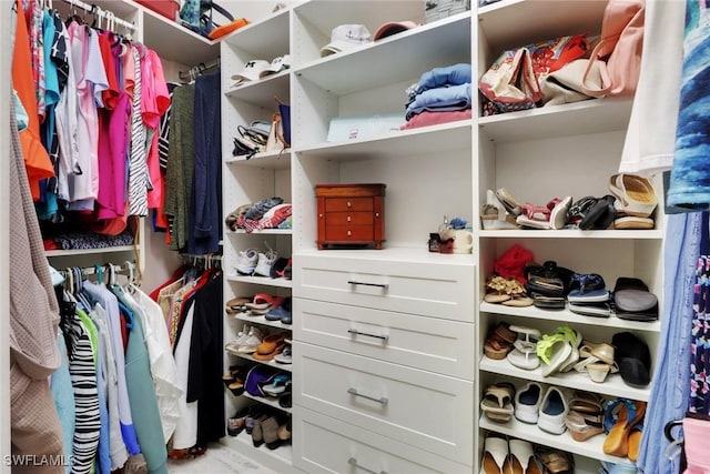 view of spacious closet