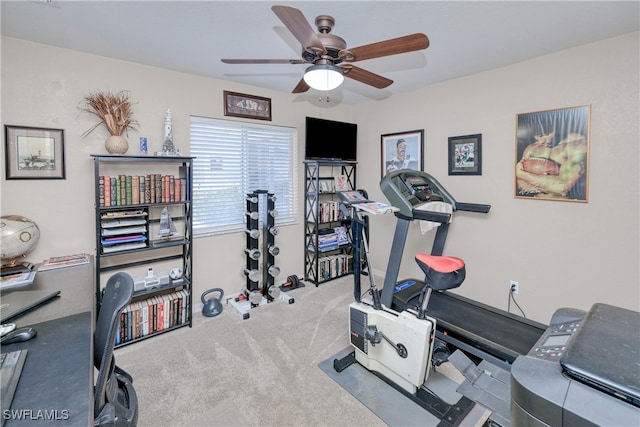 exercise area with ceiling fan and carpet