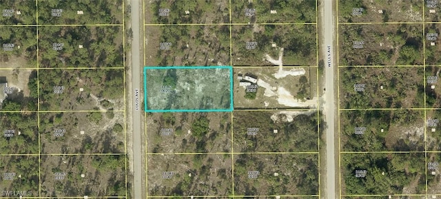 1120 Louis Ave, Lehigh Acres FL, 33972 land for sale