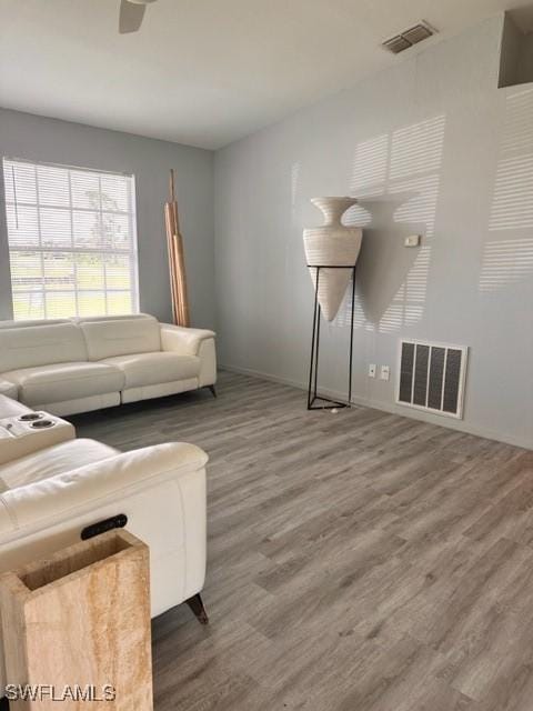 living room with ceiling fan and hardwood / wood-style floors