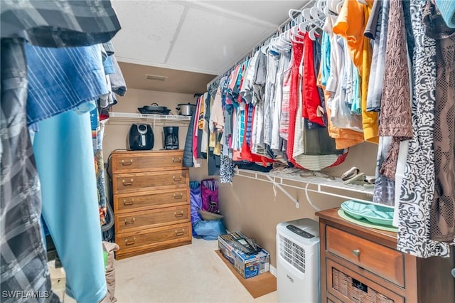 view of spacious closet