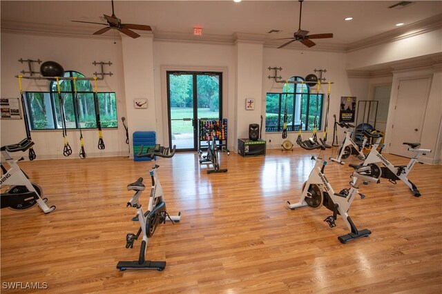 gym featuring ceiling fan, light hardwood / wood-style flooring, and crown molding