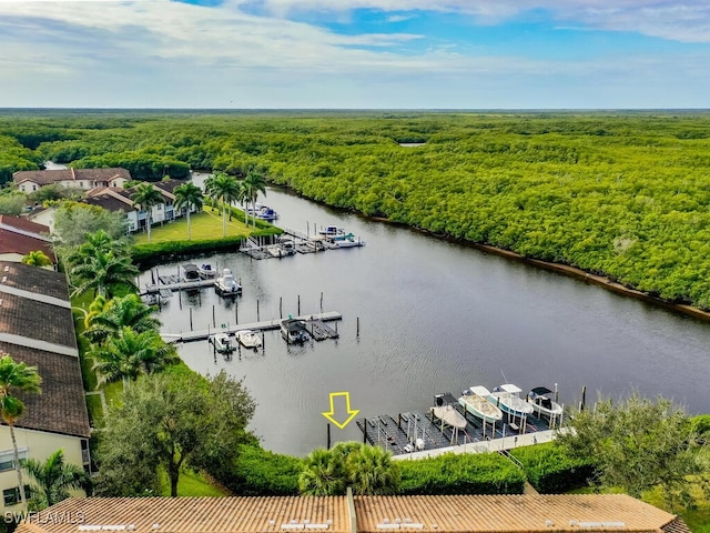 drone / aerial view featuring a water view