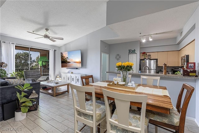 dining room with a ceiling fan, wood finish floors, a textured ceiling, and track lighting