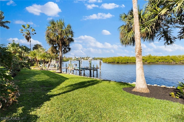 dock area with a water view and a yard