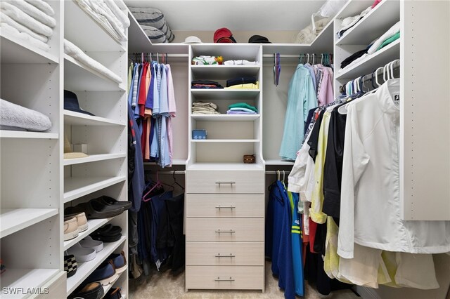 walk in closet with light colored carpet