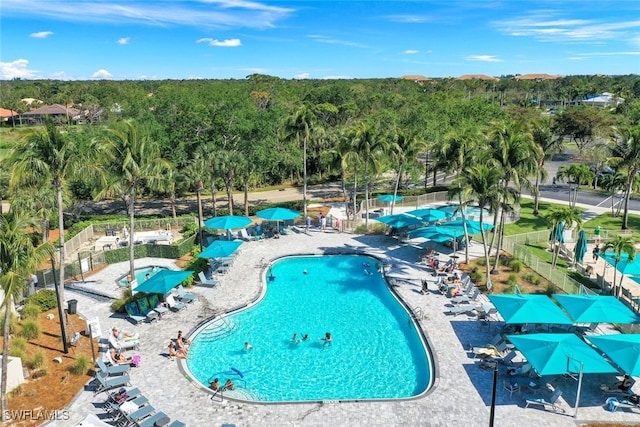 view of swimming pool with a patio area