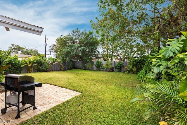 view of yard with a patio