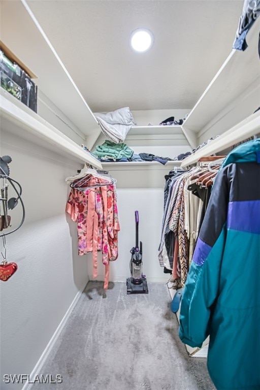 spacious closet with carpet floors