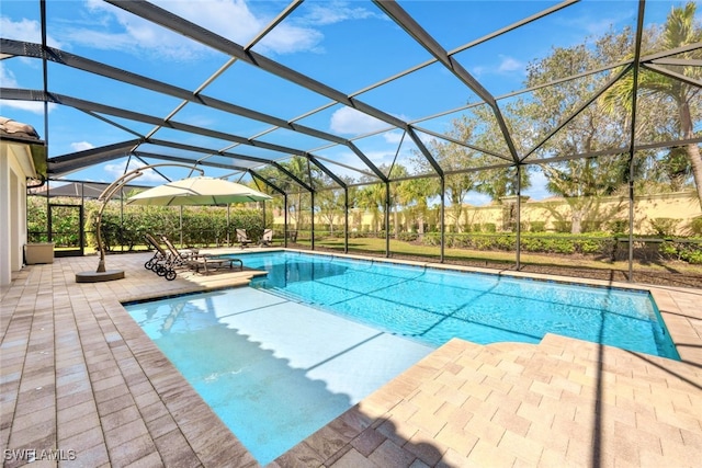 view of pool featuring a lanai and a patio area