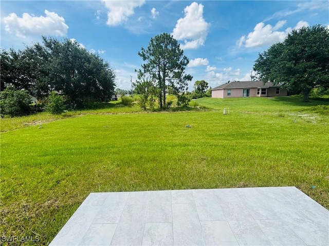 3204 20th St SW, Lehigh Acres, FL 33976 - view of grassy yard