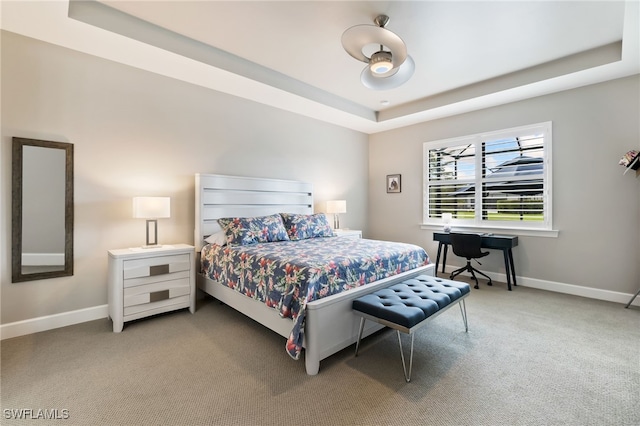 bedroom featuring a raised ceiling and carpet flooring