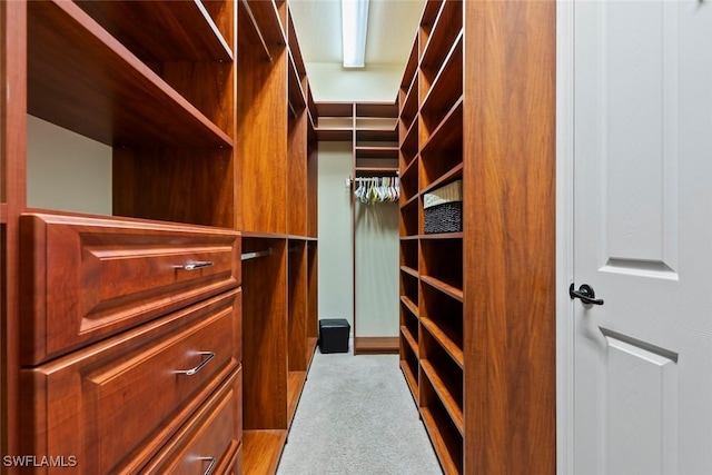 walk in closet with light colored carpet