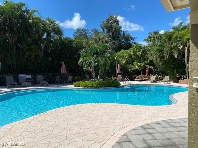 view of pool featuring a patio