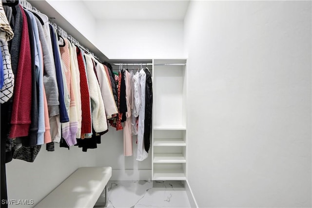 view of spacious closet