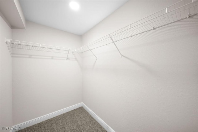 spacious closet with carpet