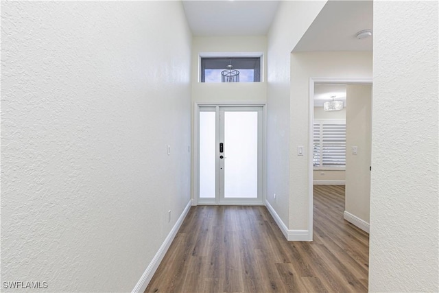 entrance foyer with plenty of natural light and dark hardwood / wood-style flooring