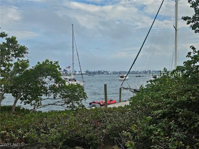 property view of water with a boat dock