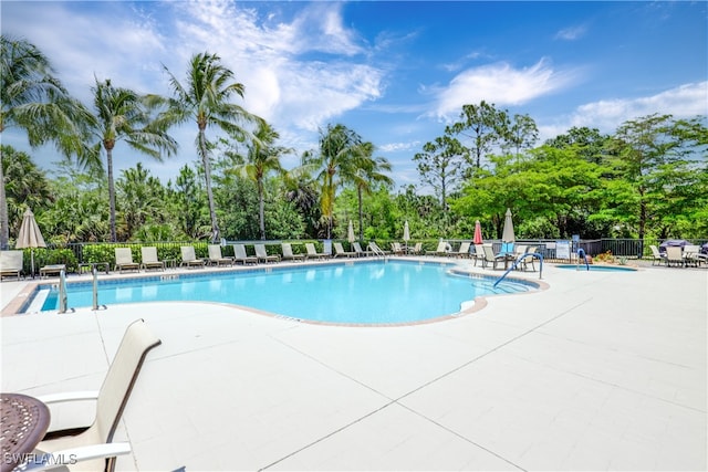 view of swimming pool featuring a patio area