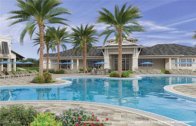 view of pool with a patio