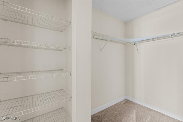 walk in closet with carpet