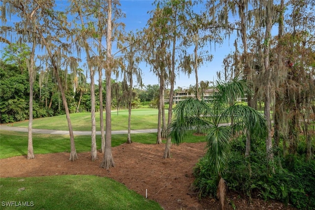 view of community with a yard