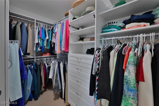 view of walk in closet