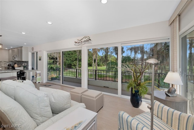 living room with a healthy amount of sunlight and light hardwood / wood-style flooring