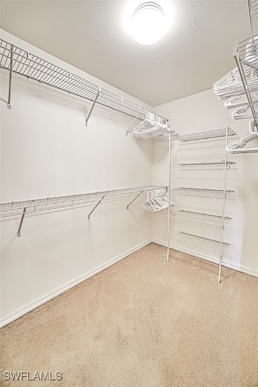 spacious closet featuring carpet