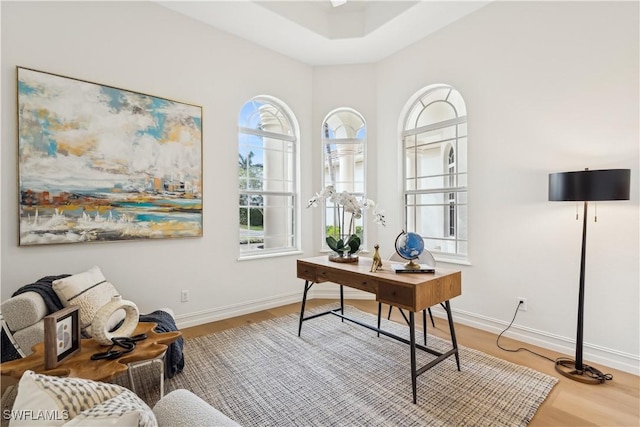 home office with hardwood / wood-style flooring and a healthy amount of sunlight