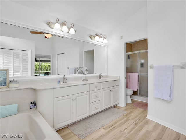 bathroom featuring toilet, vanity, a shower with door, and hardwood / wood-style floors