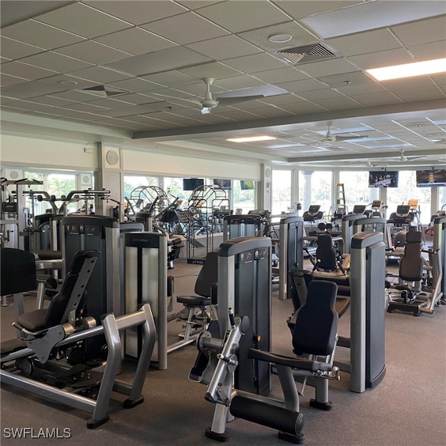 exercise room with ceiling fan and a paneled ceiling