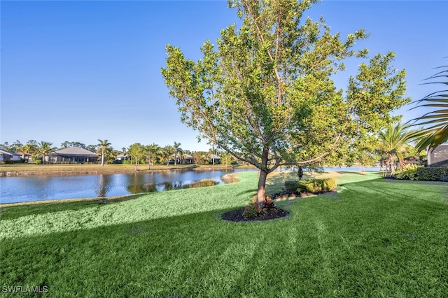 view of yard with a water view