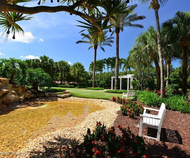 view of property's community featuring a lawn