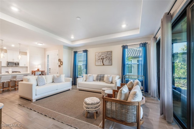 living room featuring a healthy amount of sunlight and a raised ceiling