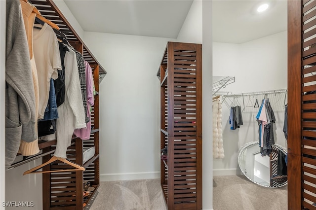 spacious closet featuring carpet flooring