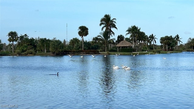 water view with a gazebo